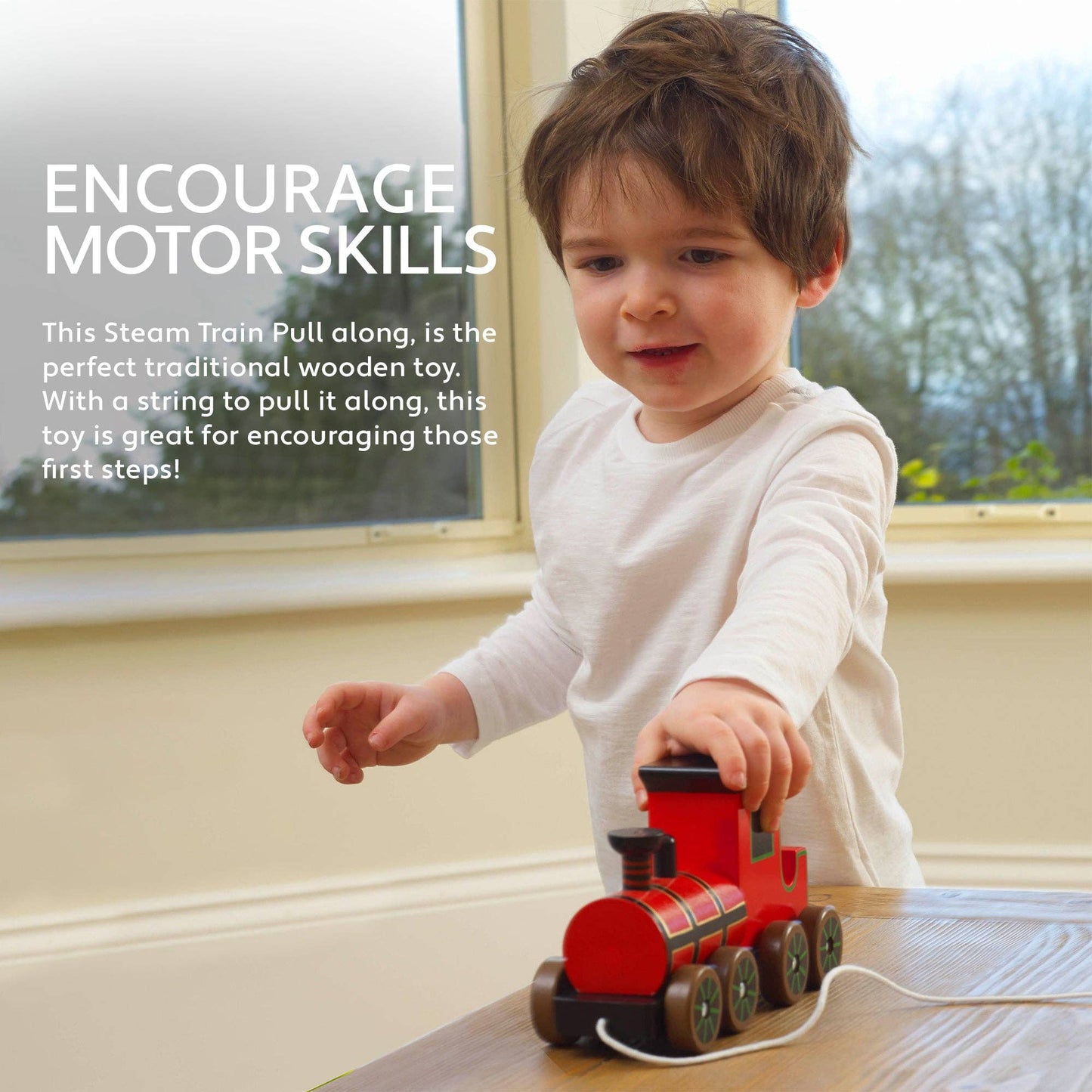 Steam Train Wooden Pull Along